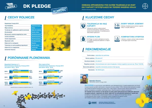 dk-pledge